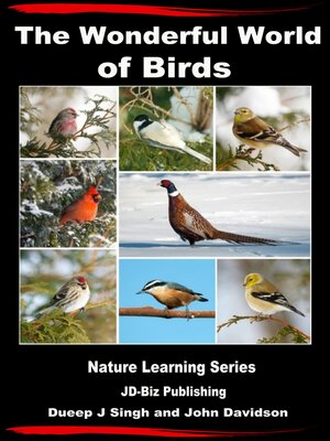 cover image of The Wonderful World of Birds